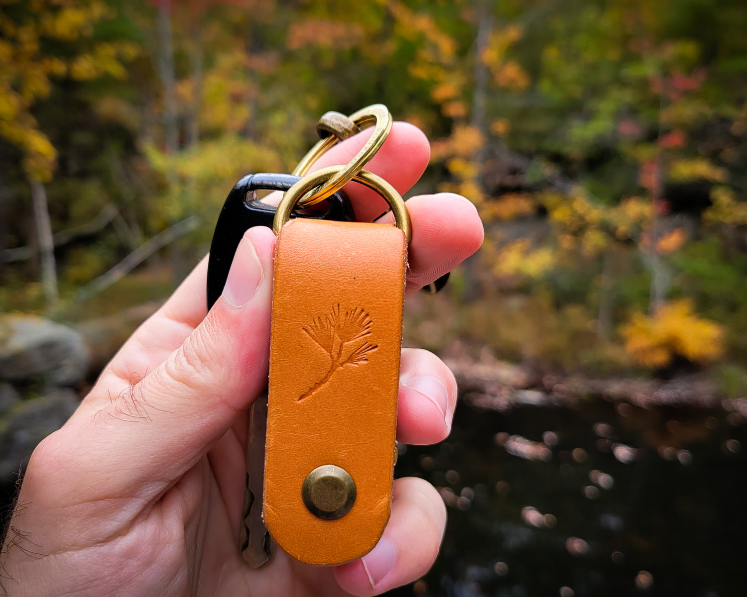 Leather EDC Key organizer with trees in background